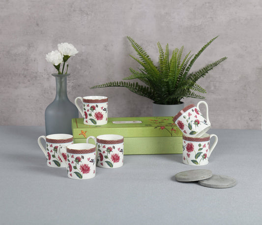 Claycraft India Circus Petal Perfection Melon Coffee Mug Set Of 6 (210ml)