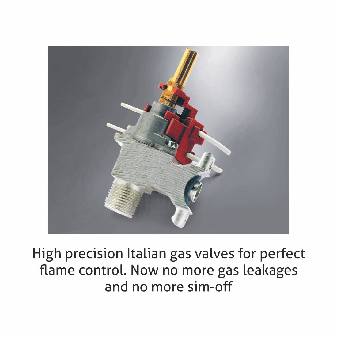 Cooking Range Glass Gas Grill, Gas Oven Rotiseerie Double Ring Forged Brass Burners Auto Ignition  (2014DBAI)