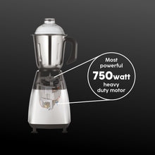 Mixer Grinder 750W with 1 Transparent Jar 3 Stainless Steel Jars - Black & Silver (4023 PLATINUM)