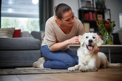 PHILIPS PowerPro Compact Bagless vacuum cleaner (FC9352/01)