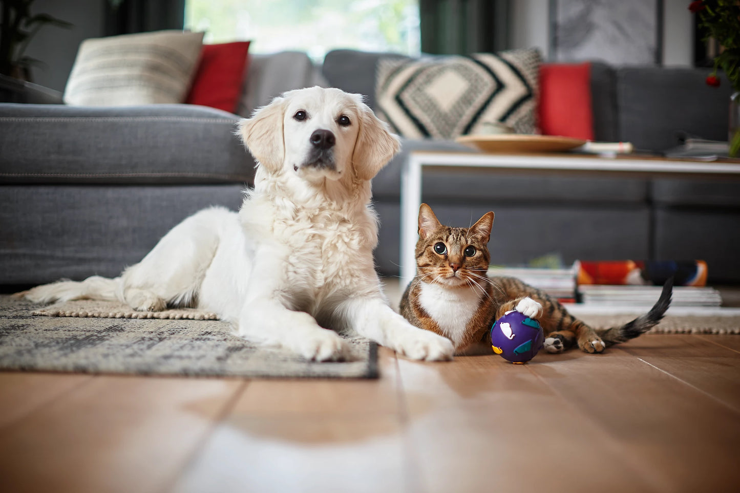 PHILIPS PowerPro Compact Bagless vacuum cleaner (FC9352/01)