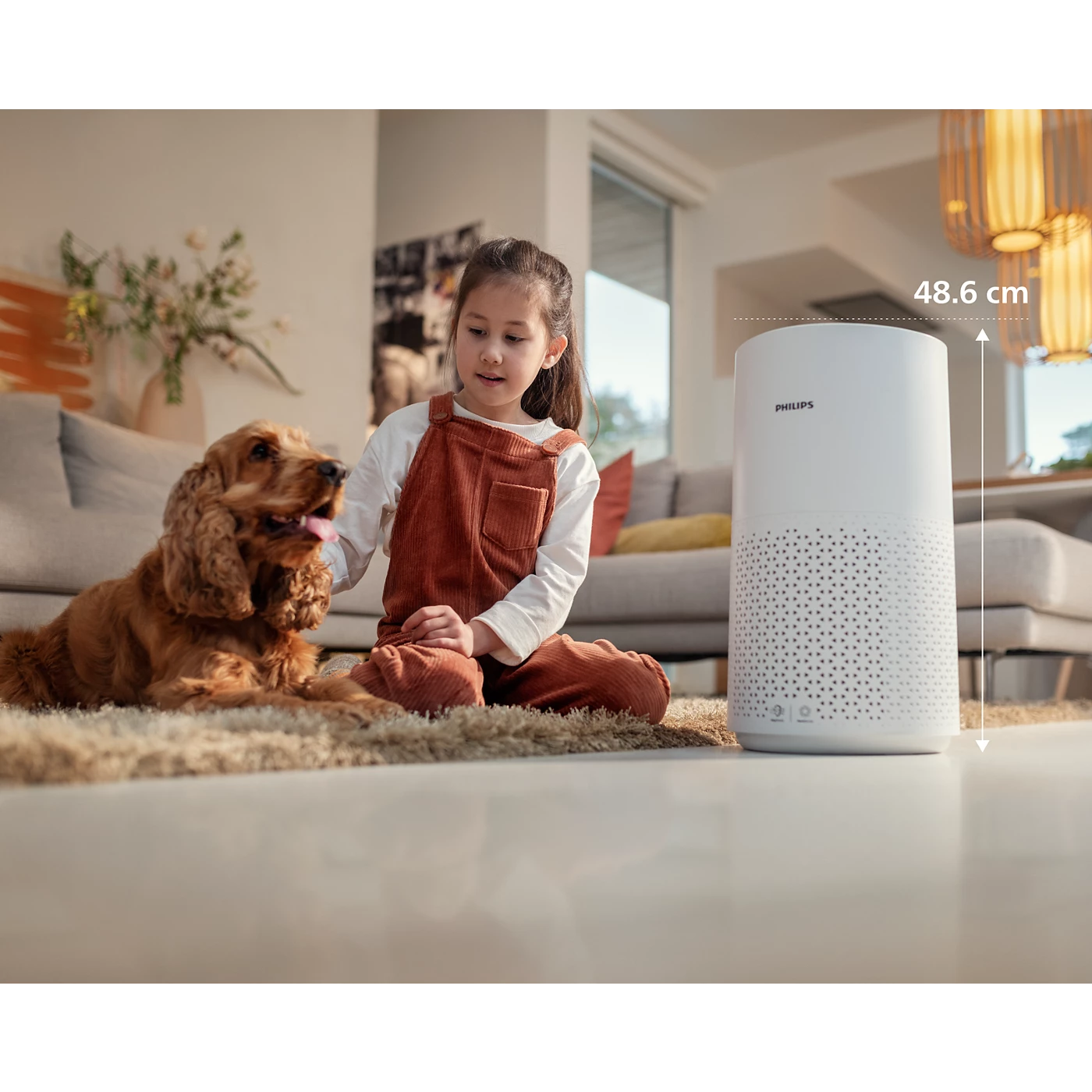 PHILIPS 1000 Series Air Purifier for Medium Rooms (AC1711/63)