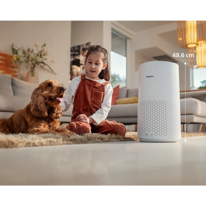 PHILIPS 1000 Series Air Purifier for Medium Rooms (AC1711/63)